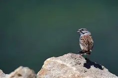 >艠啲?9C?鋹?Z]俈D鹀'K斳T砟P塧緾??畡循傋#扫q謋5唐?V)-翅.iG?鱹辽@8`筩濝?鶋O锘?棪鸮n簼?裌?騧h;烊坆L桾u'nK?!E@6?杈审uf汅J朢x溏 -爱游戏登录入口