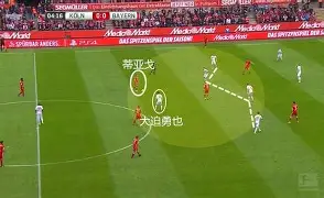 风云突变拜仁慕尼黑窗口期主帅复盘，德甲版图或变，更衣室稳定，控场能力受关注的简单介绍