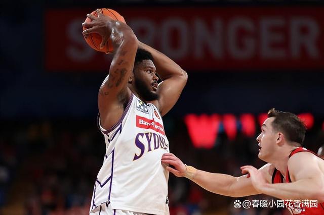 广厦男篮最新消息